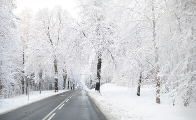 Fototapeta premium winterweg