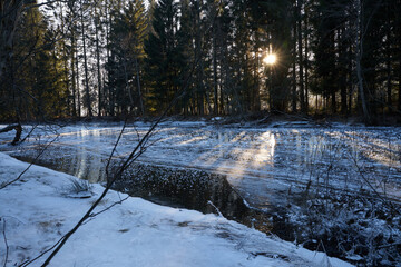 A cold Sunday in January on the frozen local lake or river in just outside of Oslo city. Norwegian...