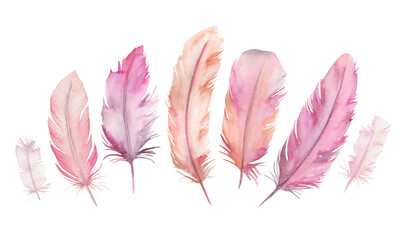 Watercolor vibrant feather set. Hand drawn illustration on white background - obrazy, fototapety, plakaty