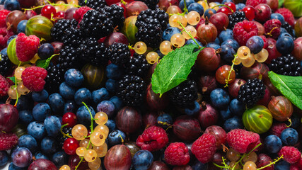 Gooseberries, blueberries, mulberry, raspberries, white and red currants isolated