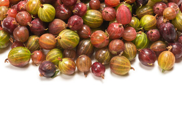 Gooseberry isolated on white background.