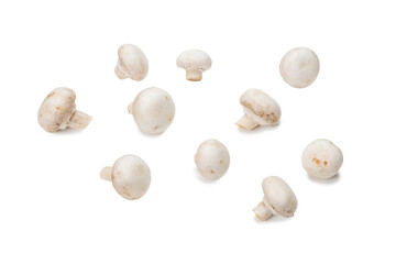 Champignon mushroom isolated on white background.