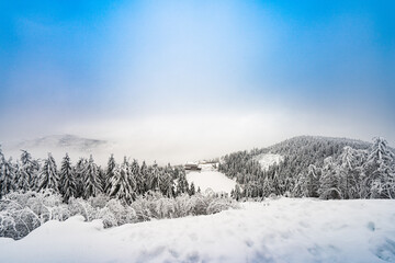 Schnee im Schwarzwald