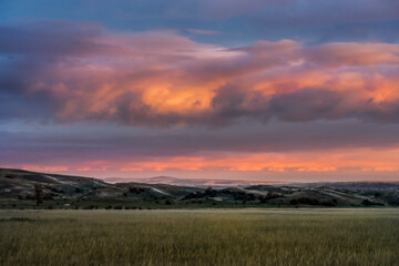 sunset over the field