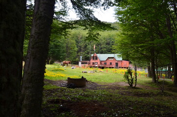 Patagonian ranch