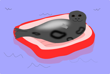 seal lies on a swimming mattress