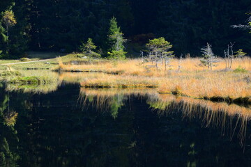 Obraz premium Impressionen eines Bergsees