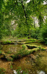 Obraz premium Le Dard près de sa source à Baume-les-Messieurs, Jura, France