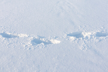 Fototapeta na wymiar Footprints in white snow