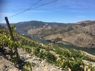 Douro Valley vineyards river and mountain