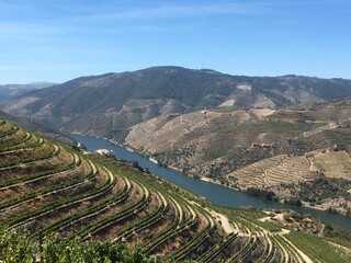 Douro Valley vineyards river and mountain