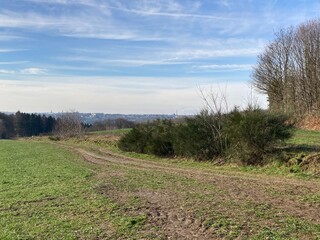 Naturlandschaft mit Wiese, Weg und Wald im Winter ohne Schnee 
