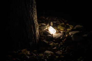 Magical fairy dust potion in bottle in the forest