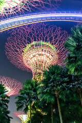 Arbre lumineux artificielle, jardins de la Baie à Singapour