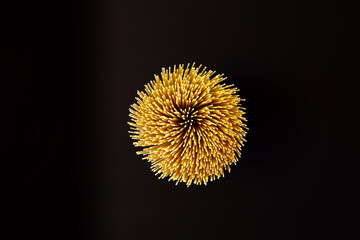 Top-down view of a brightly lit bunch of spaghetti on a black background that looks like a fireworks