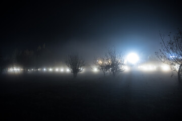 Trees and street lamps on a quiet foggy night. Foggy misty evening lamps in empty road.