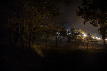 strange light in a dark forest at night. Silhouette of person standing in the dark forest with light. Dark night in forest at fog time. Surreal night forest scene. Horror halloween concept. Fairytale