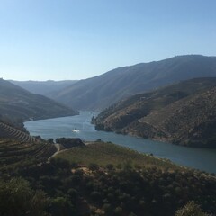 Fototapeta premium Douro Valley Vineyards River View