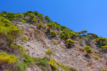 landscape with rocks