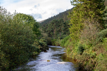Fototapeta na wymiar River in the forest. Landscape of Ireland. 