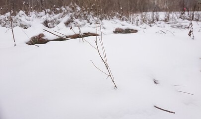 A lonely thin twig sticking out from under the snow. Snowy surface, field in winter.