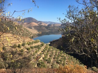 Douro Valley River and Vineyards view