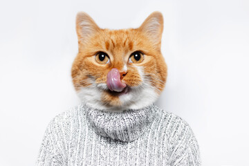 Contemporary artwork collage concept. Portrait of red-white cat with tongue out, wearing sweater on white background.
