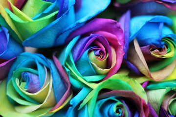 Obraz na płótnie Canvas Rainbow-colored roses