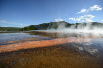 Close-up view of the bacterial mat and rising steam at the Grand Prismatic Spring at Yellowstone National Park