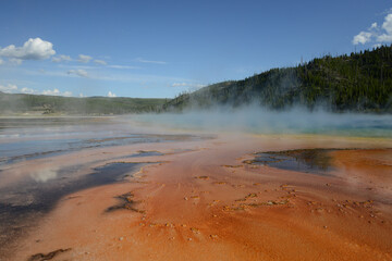 Close-up view of the bacterial mat and rising steam at the Grand Prismatic Spring at Yellowstone National Park