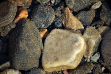 clean fresh water river stream