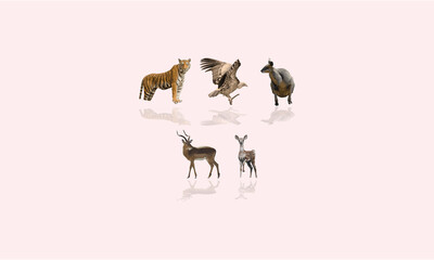 set of 5 animal vector elements collection 