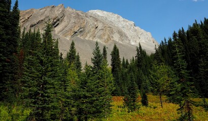 View towards Gusty peak near Chester Lake at Kananaskis Alberta Canada    OLYMPUS DIGITAL CAMERA