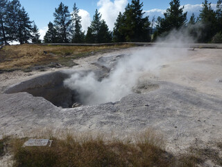 Hot springs and steam vents at Yellowstone National Park