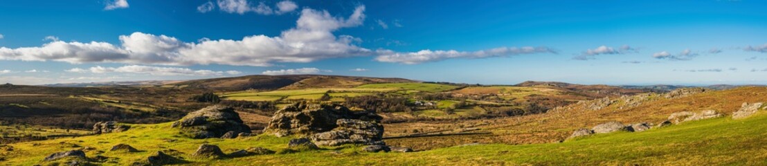 Haytor Rocks, Dartmoor Park, Devon, England, Europe