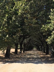 Charming and Relaxing detail view