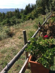 Charming and Relaxing detail view