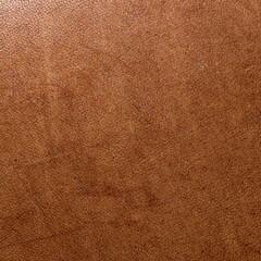 leather grunge background: an old piece of tough camel skin, with scuffs, spots, scars