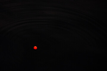 A small red fishing float sits on the water
