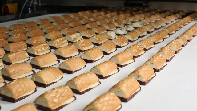 Production line on band equipment machines in biscuit, wafer, cake and cracker factory, industrial food production. 