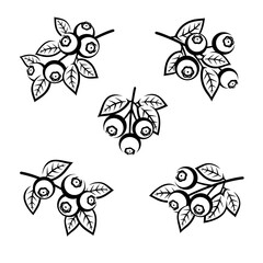 Blueberries set. Collection icon blueberries. Vector