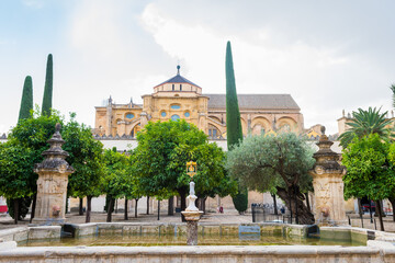 Fototapeta na wymiar view of the cathedral modque of cordoba, Spain