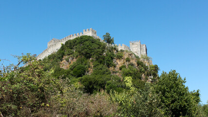 Fototapeta na wymiar Castle of Leiria, Portugal 