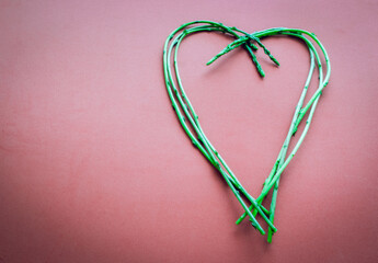 Bouquet of heart-shaped asparagus on a pink background.