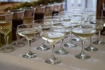 dry white wine in wineglasses on a table, served ready at open air outdoor dinner party, catering service