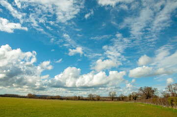 Fototapeta na wymiar Cumulus clouds landscape with blue sky