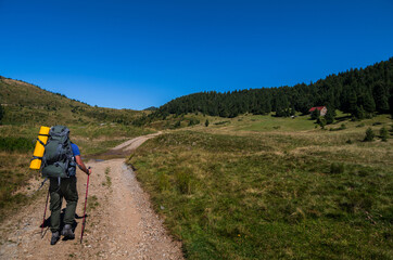 Vacation activity Take a Hike Day