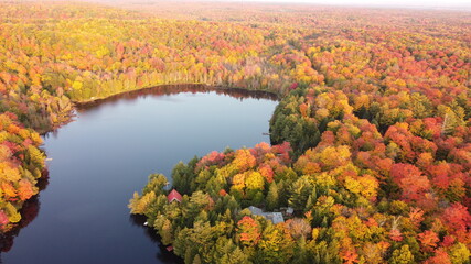 Vue aérienne, couleur d'automne