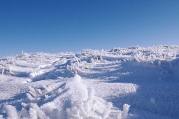 Fototapeta na wymiar snow covered frozen grass turfs under clear blue sky