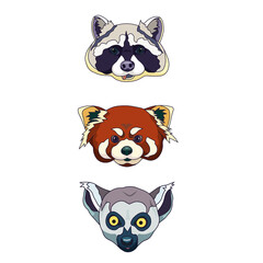Set of heads Raccoon, Red Panda and Lemur in Cartoon style, vector wild animals on white isolated background, concept of Nature and Fauna, Animals and Wildlife, also Wildlife sanctuary.